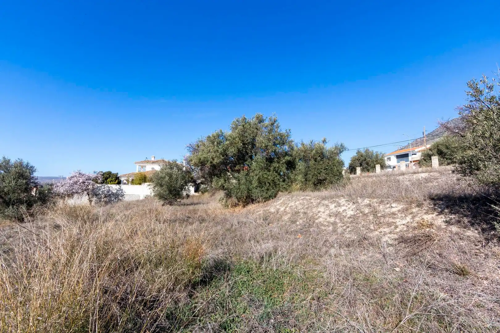 Residential land for sale in Avenida de Andalucía 201, imagen 5