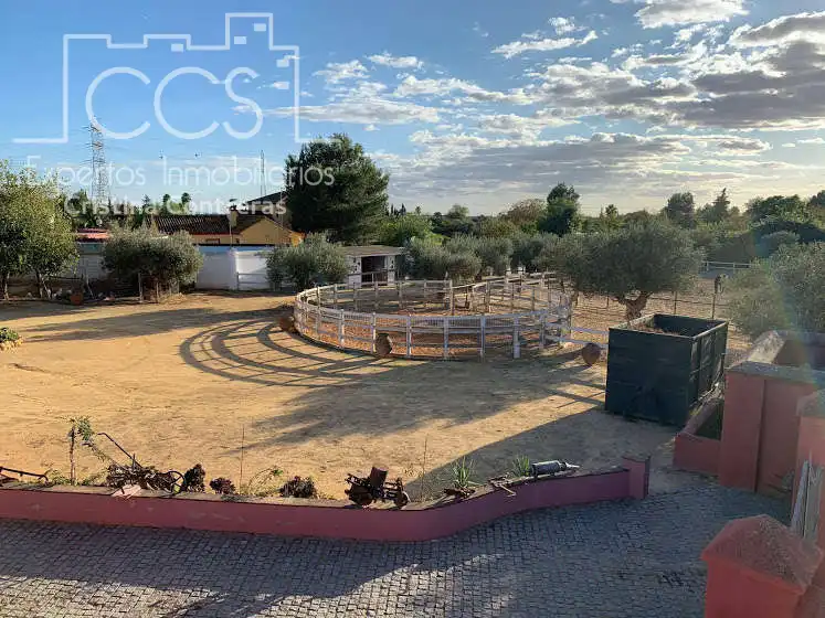 Vista exterior de Finca rústica en venta en Alcalá de Guadaira con Piscina y Amueblado