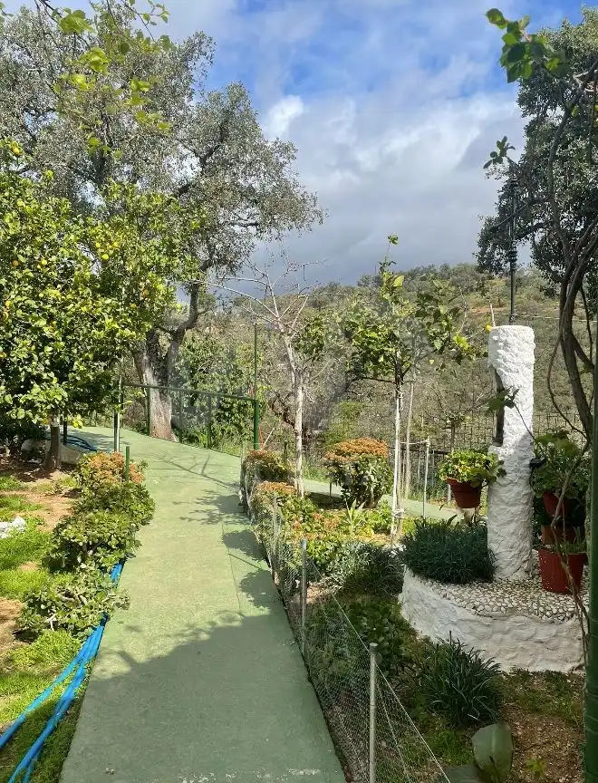 Jardín de Terreno en venta en Berrocal