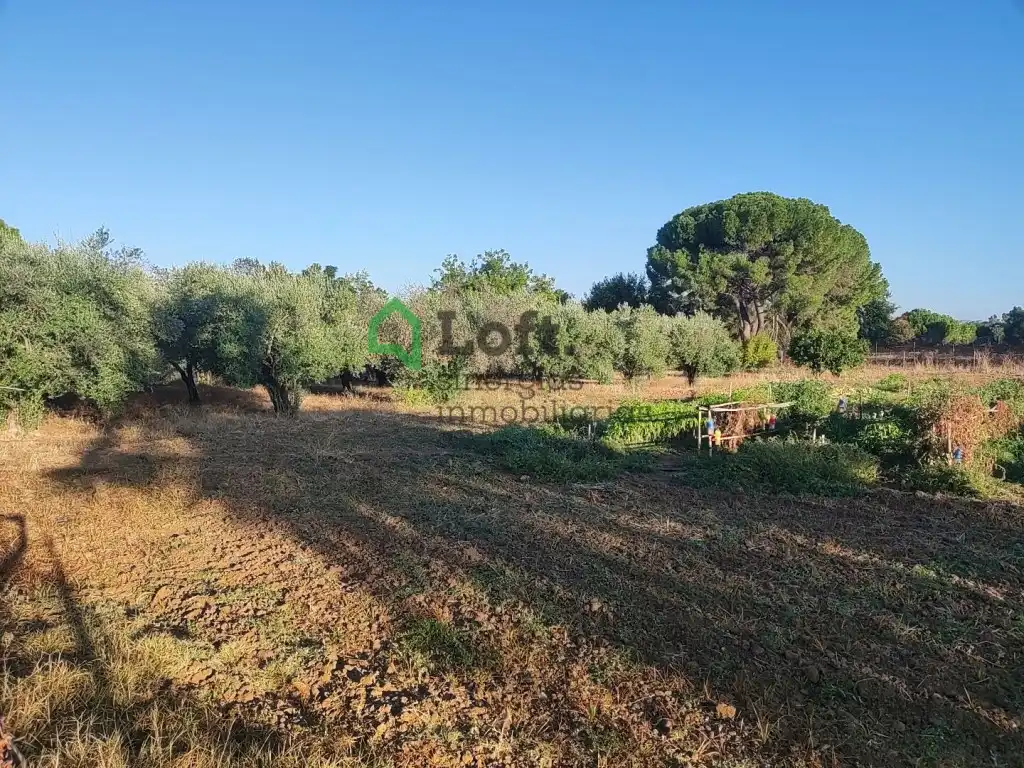 Terreno rustico in vendita a Pedanías de Badajoz, imagen 6