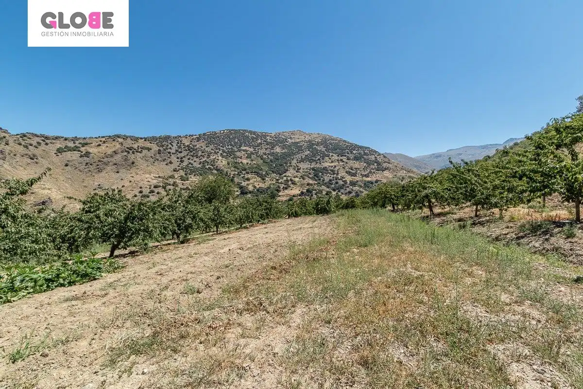 Landhaus mit Garten zum Verkauf in Güéjar Sierra, imagen 23