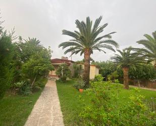 Jardí de Casa o xalet en venda en Castellón de la Plana / Castelló de la Plana amb Terrassa, Traster i Balcó
