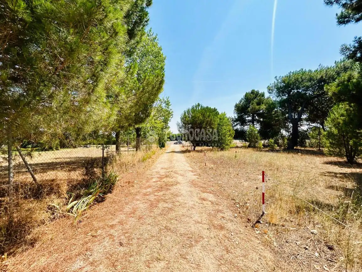 Terreno en venta en La Pedraja de Portillo 