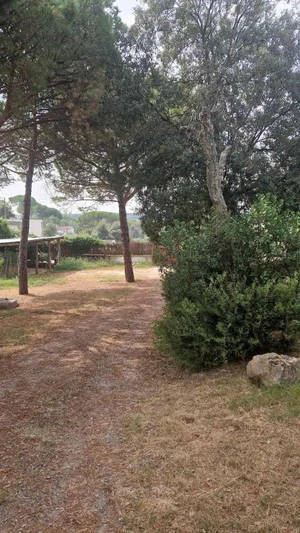 Residential land for sale in Avinguda Farners 1, imagen 2
