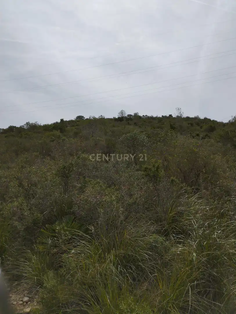 Terreny rústic en venda a poligono 3, imagen 5