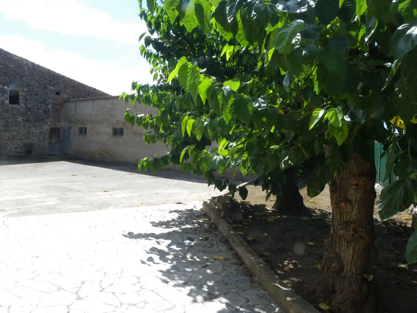 Casa rustica in vendita a Jafre, imagen 3