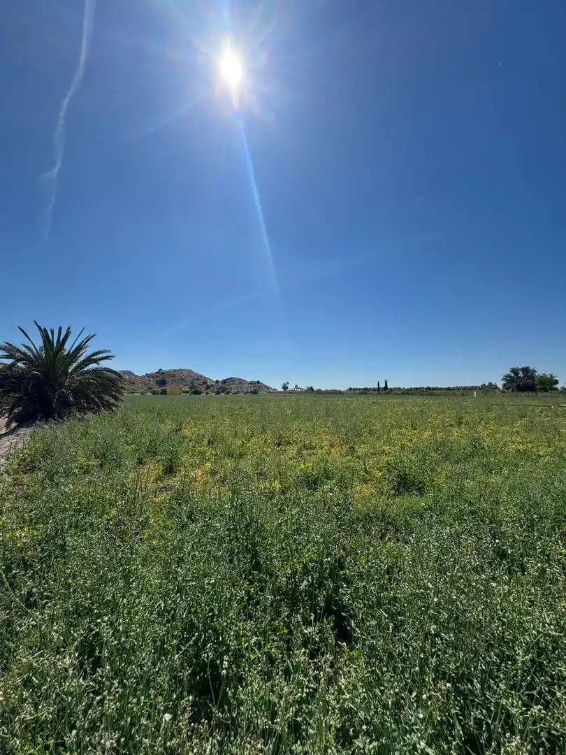 Country house for sale in Cox, imagen 15