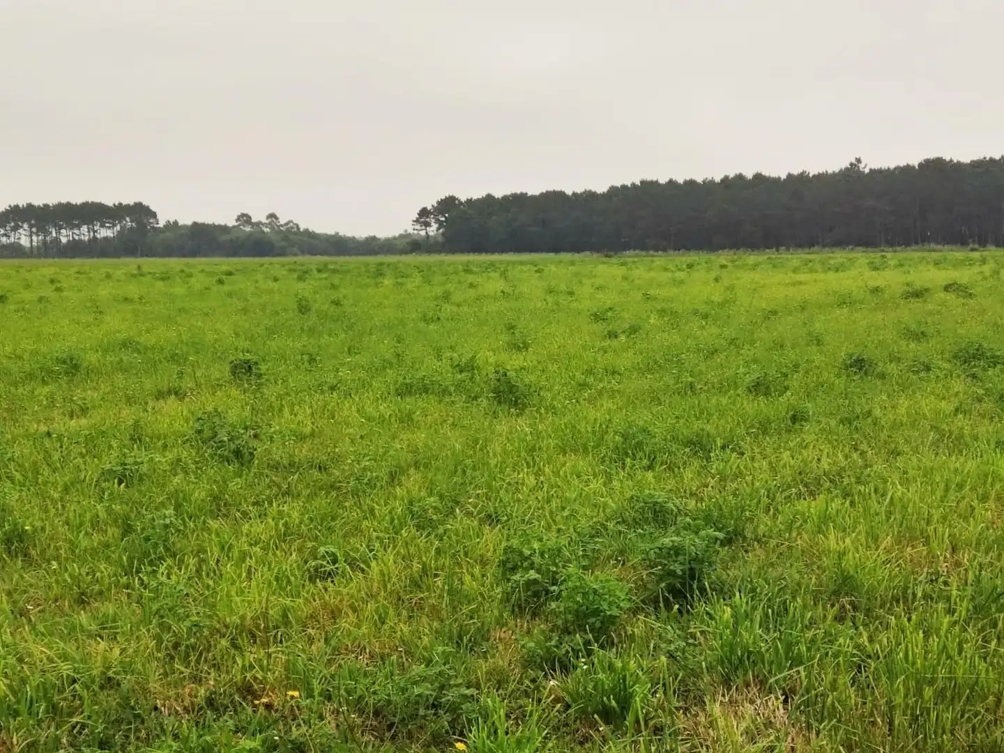 Residential land for sale in Lugar Brul, imagen 4