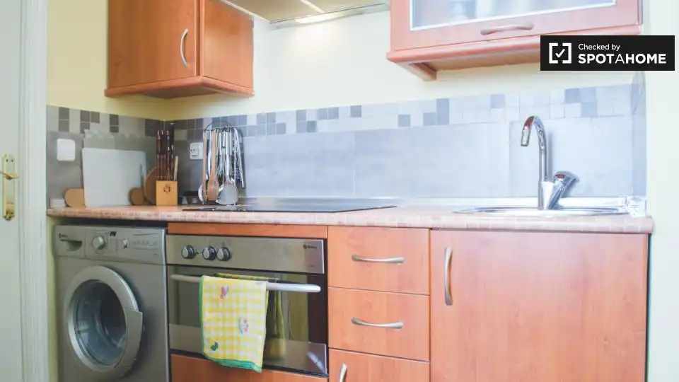 Flat with terrace to rent in Centro, imagen 9
