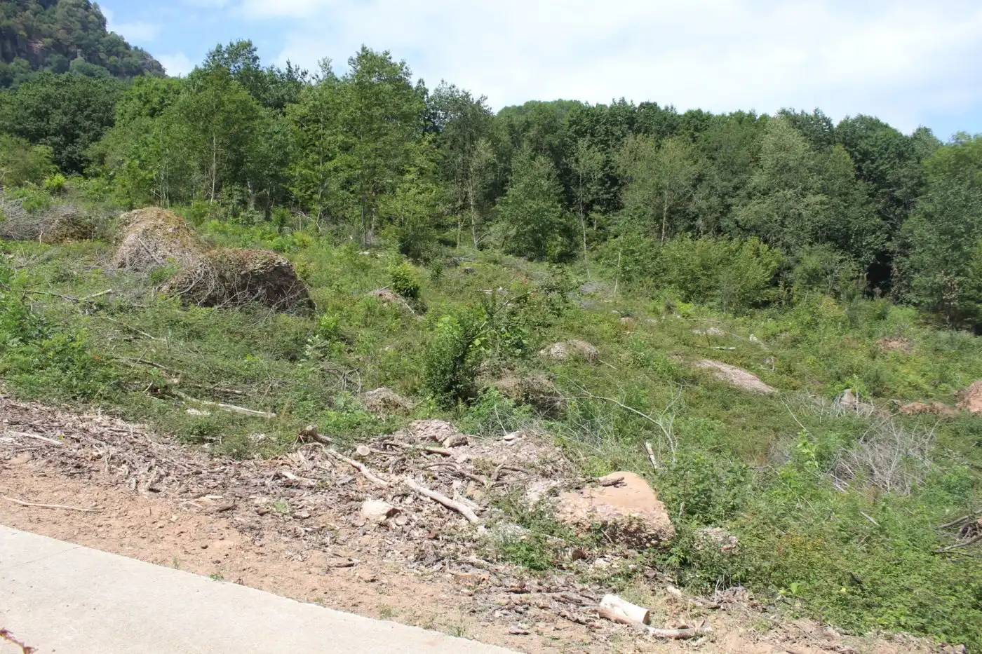 Finca rústica en venta en Sunbilla