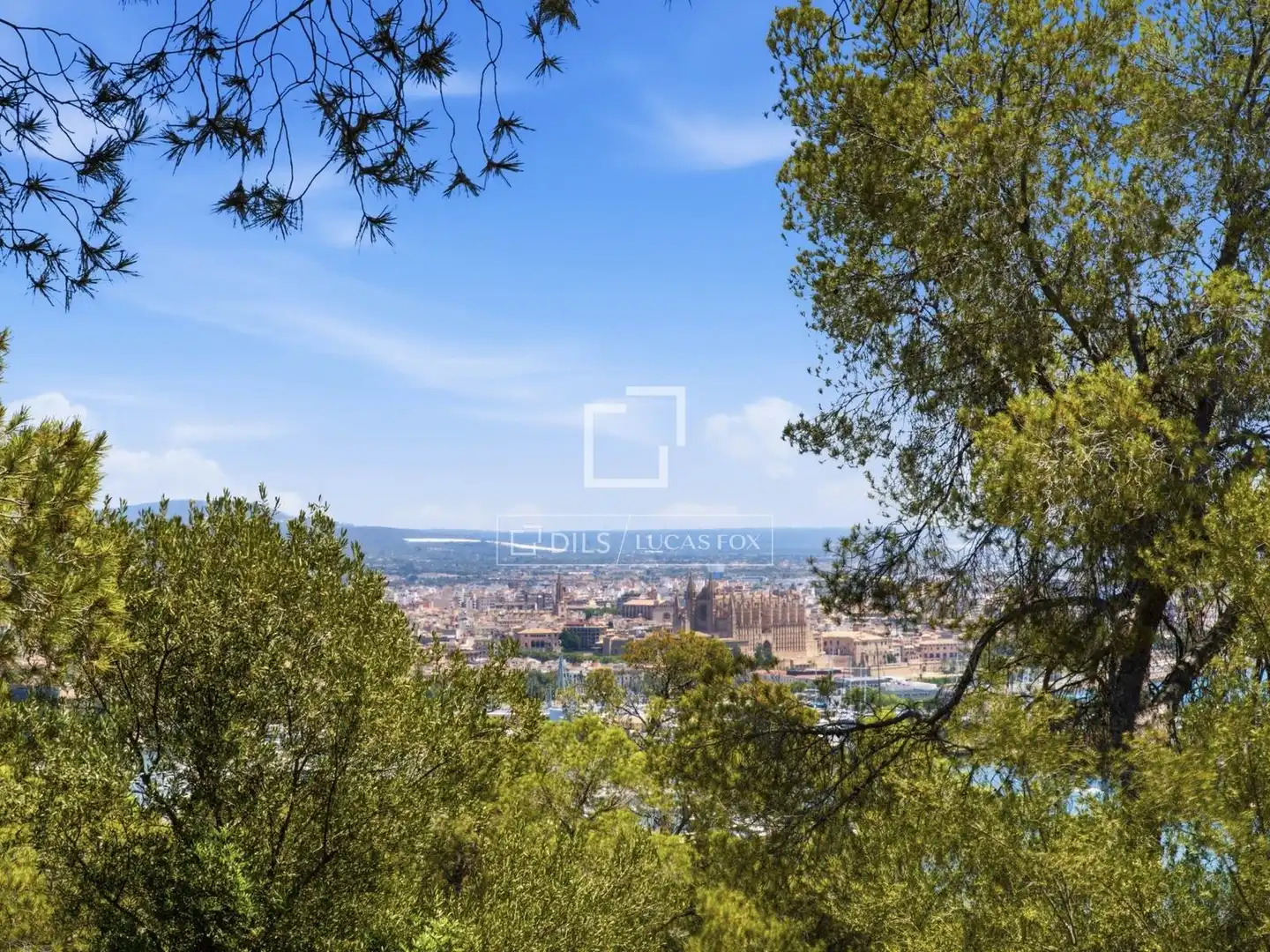 Vista exterior de Piso en venta en  Palma de Mallorca con Aire acondicionado y Piscina