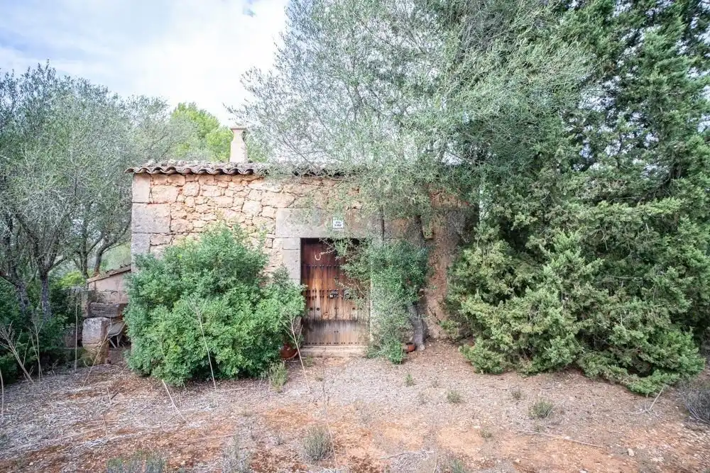 Jardín de Finca rústica en venta en Algaida con Aire acondicionado, Calefacción y Jardín privado