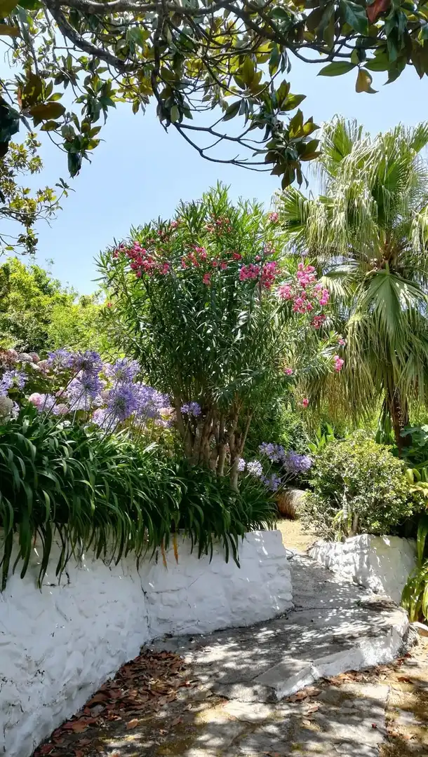 Jardí de Casa o xalet en venda en Algeciras