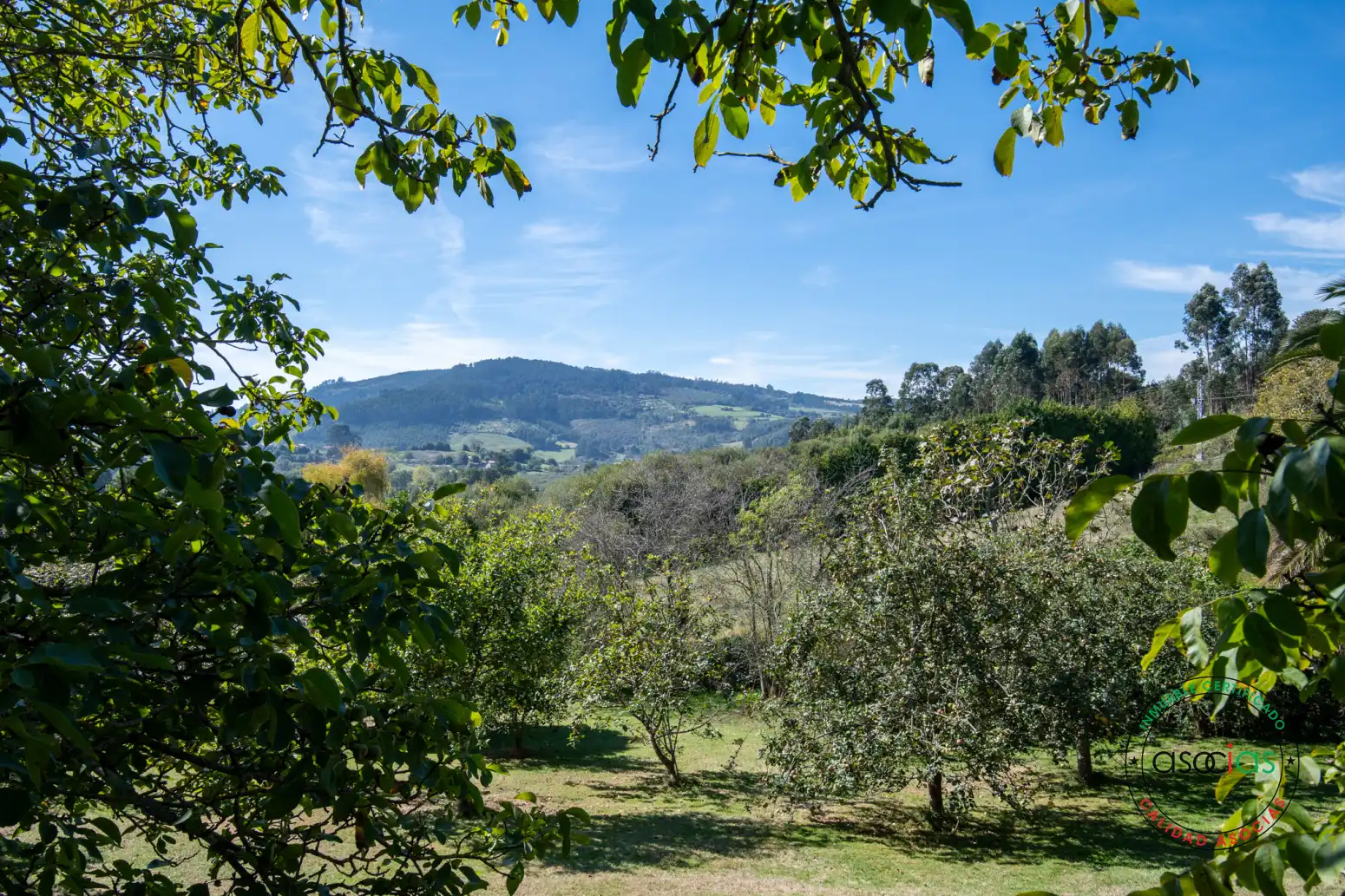 Jardín de Casa o chalet en venta en Villaviciosa con Calefacción, Jardín privado y Parquet