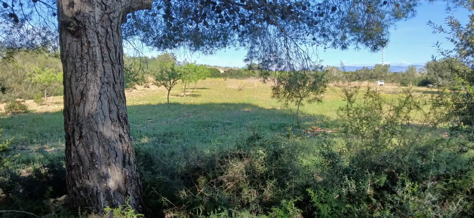 Rural land for sale in Camí de Soterranya, imagen 5