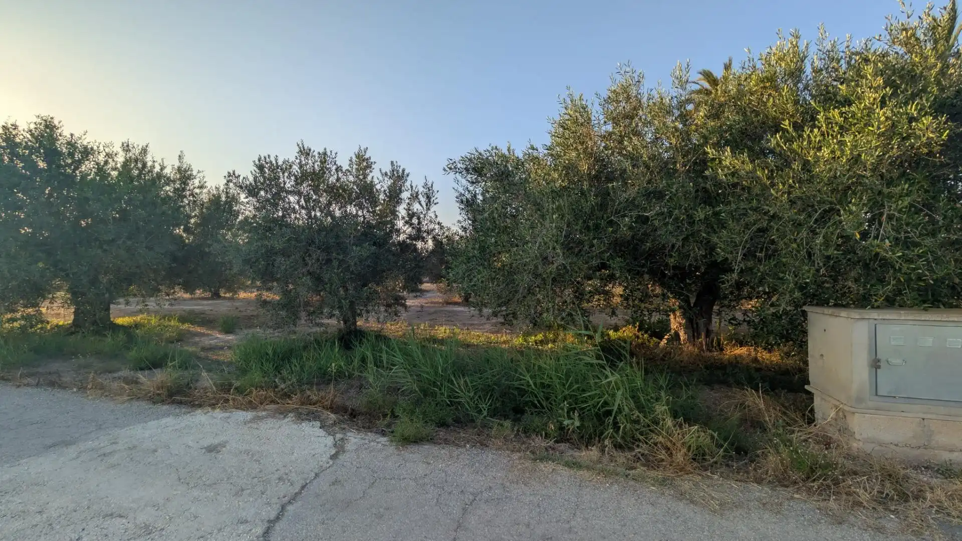 Rustikales Grundstück zum Verkauf in Algorós - El Derramador, imagen 12