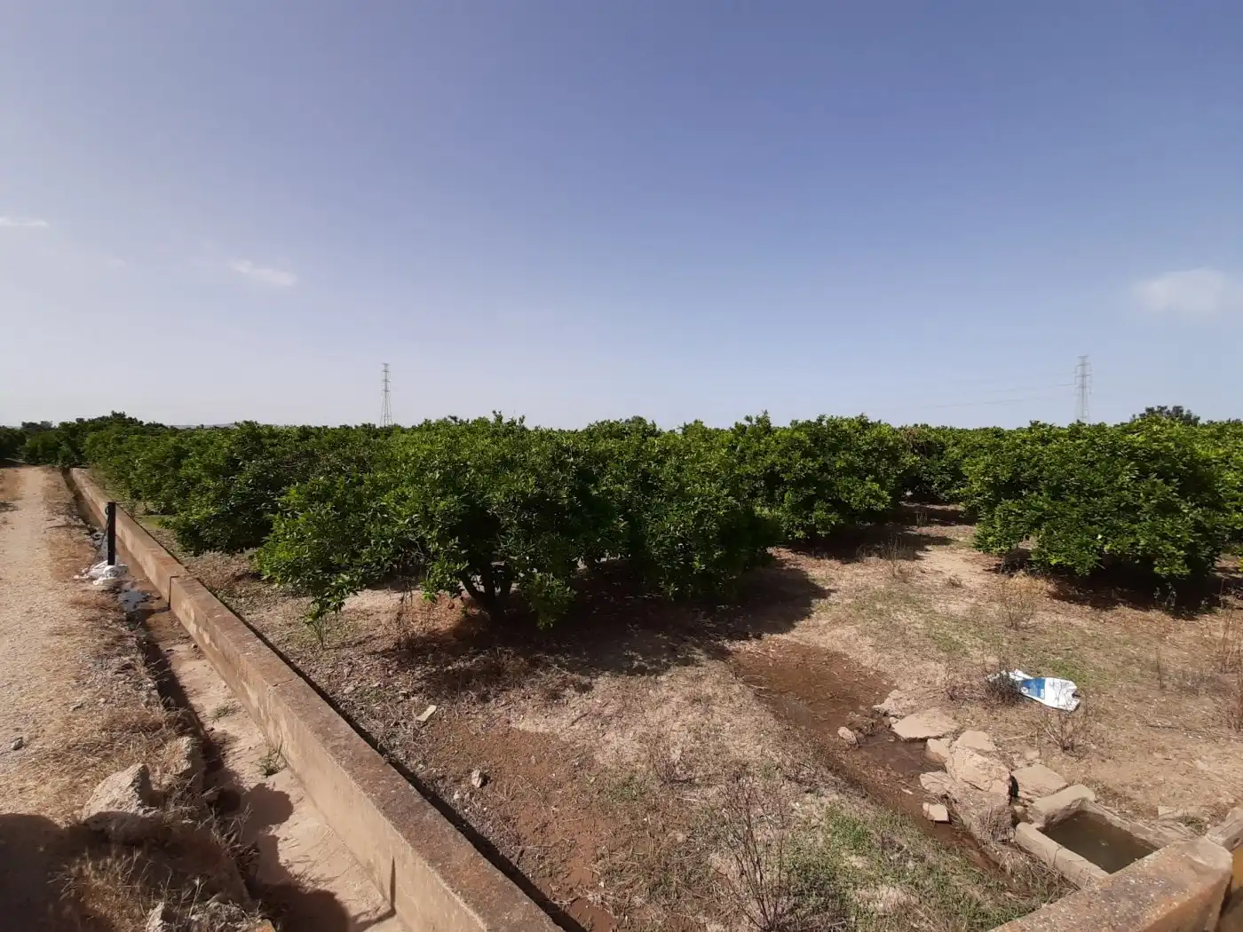 Terreny rústic en venda a Urbanitzacions i Pedanies Nord, imagen 10