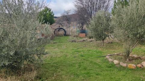 Photo 4 of House or chalet for sale in El Molar (Madrid), Madrid