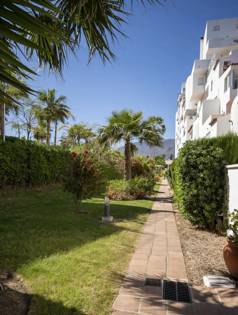 Jardí de Apartament en venda en Estepona amb Terrassa, Piscina i Piscina comunitària