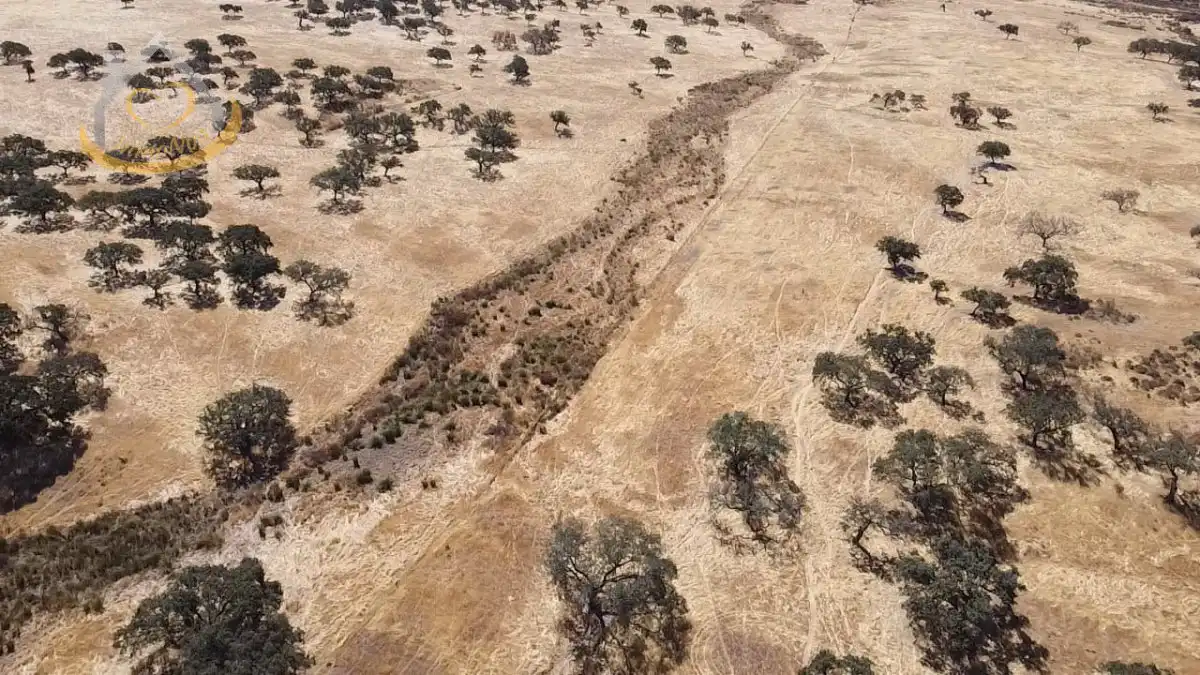 Terreni e lotti in vendita a Puebla de Guzmán, imagen 24