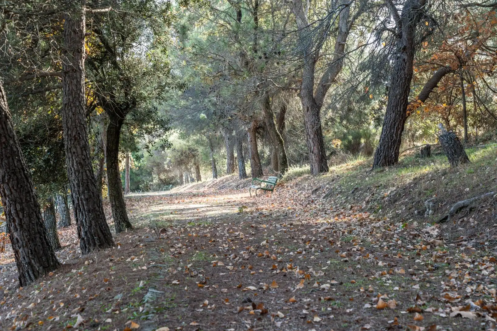 Vista exterior de Finca rústica en venda en Guadarrama amb Aire condicionat, Calefacció i Jardí privat