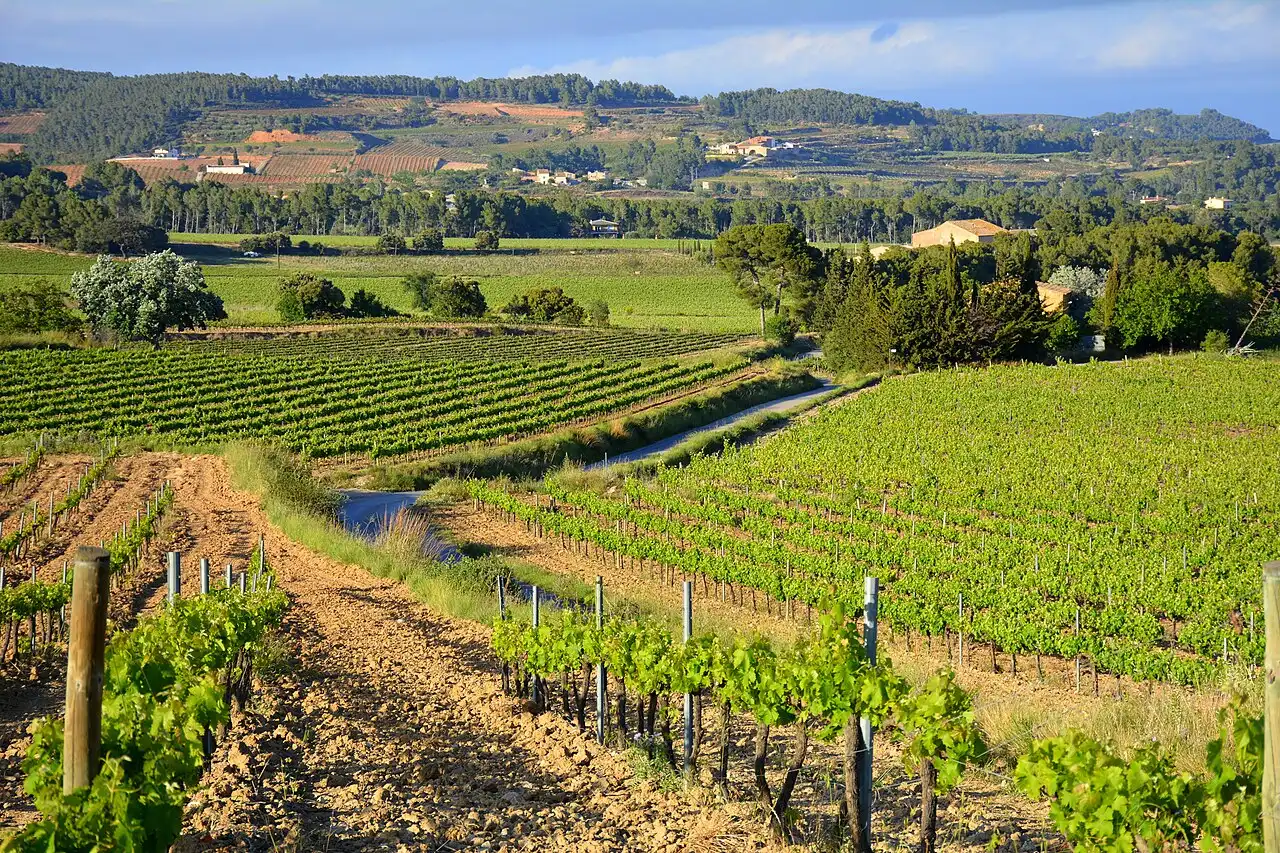 Vista exterior de Casa o chalet en venta en Torrelles de Foix con Jardín privado, Terraza y Amueblado