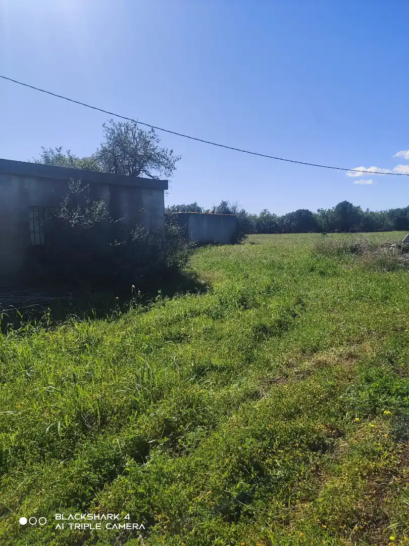 Rural land for sale in Alcossebre, imagen 2