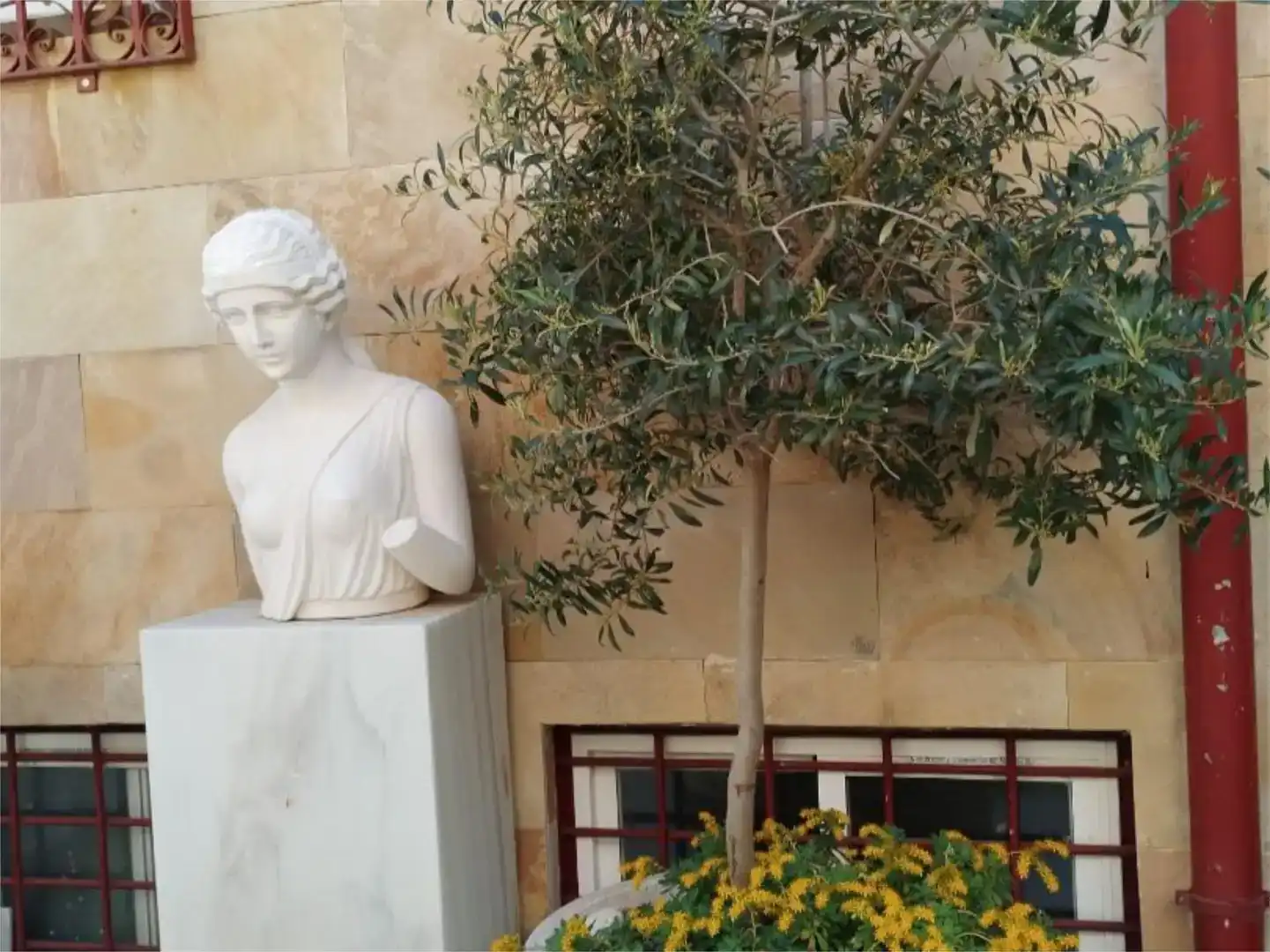 Jardí de Casa o xalet en venda en  Madrid Capital amb Aire condicionat, Piscina i Balcó