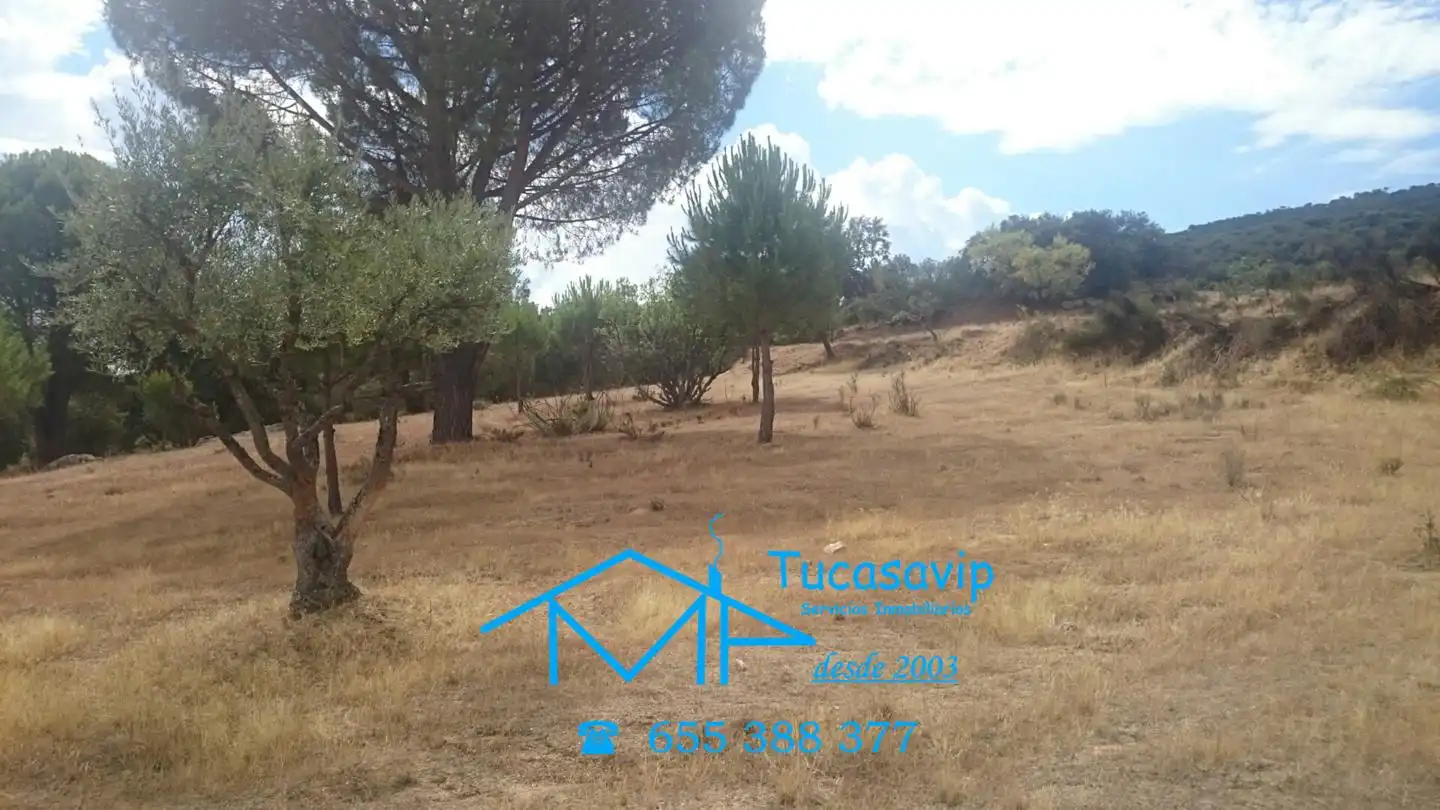 Rural land for sale in Pelayos de la Presa, imagen 6