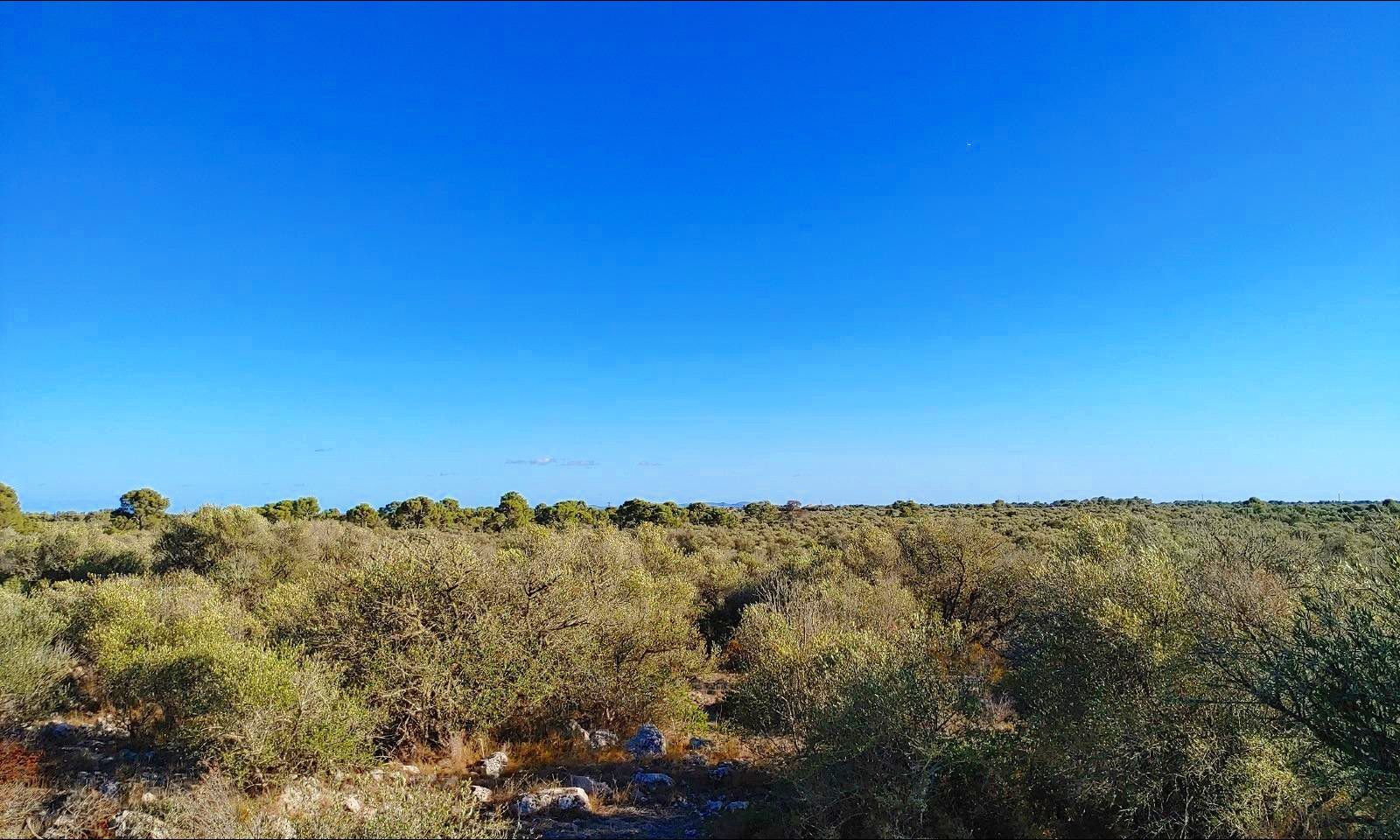 Residencial en venda a Polígono Parcela 12, Cala Pi - Vallgornera