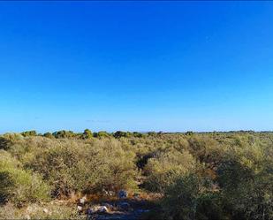 Residencial en venda a Polígono Parcela 12, Cala Pi - Vallgornera