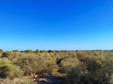 Terrenos y solares en venta en Polígono Parcela 12