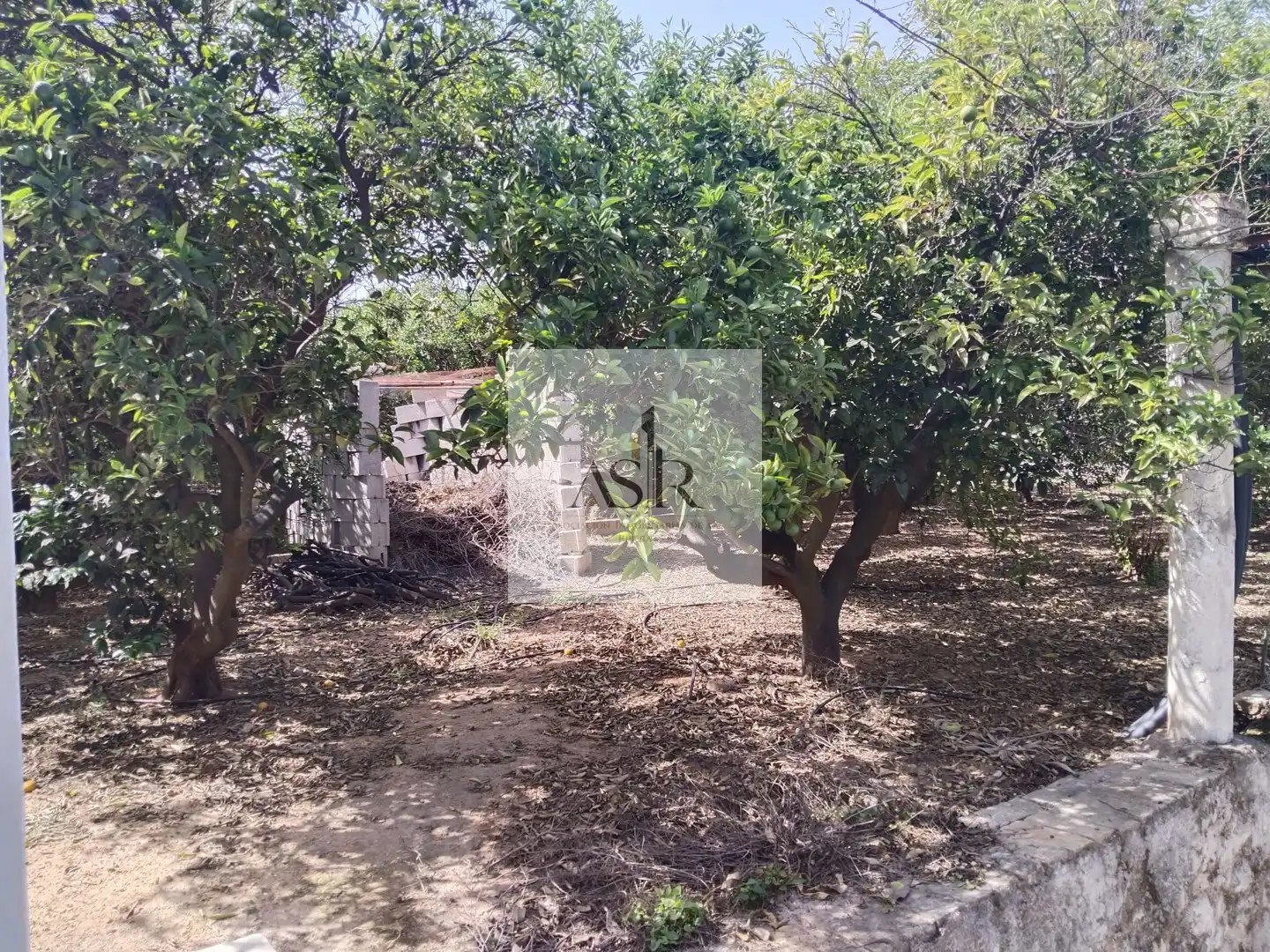 Houses for sale in Alzira  with Terrace, Storage room and Swimming Pool