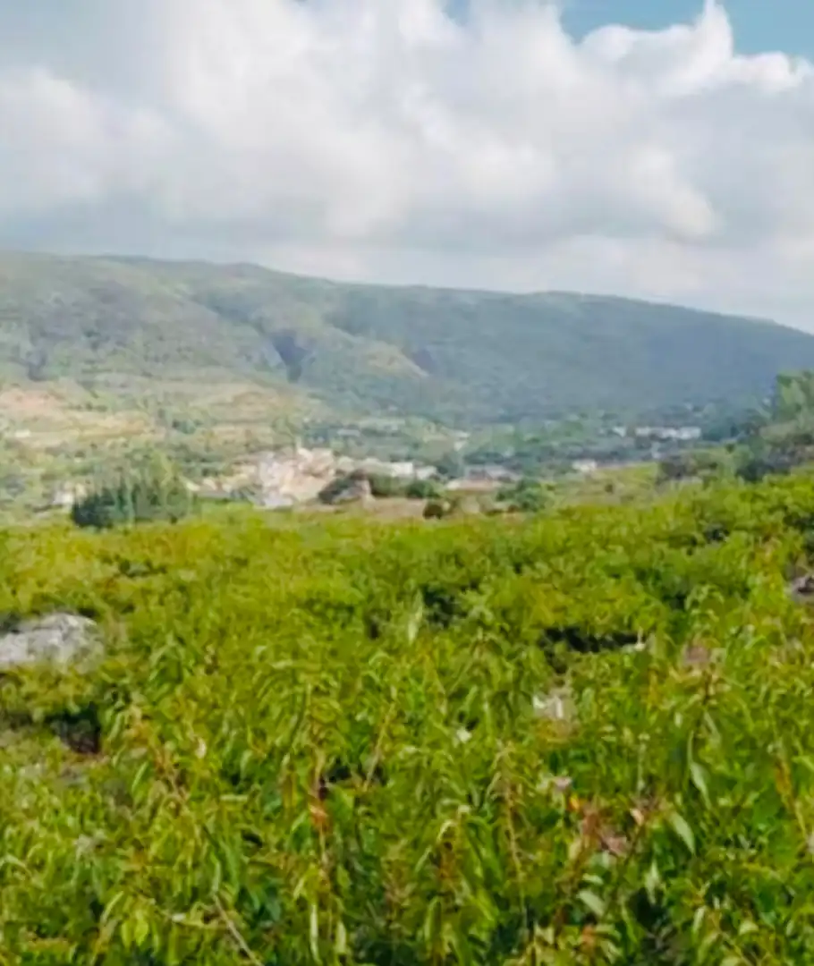 Villa mit Garten zum Verkauf in La Vall de Laguar, imagen 9