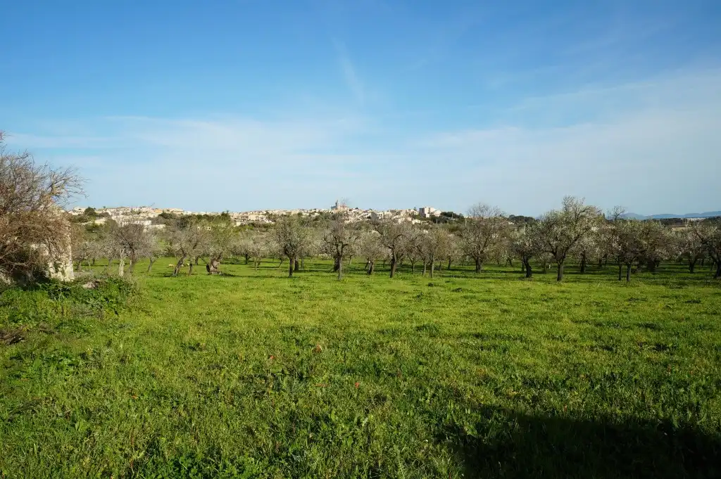 Casa rustica con giardino in vendita a Campanet, imagen 8