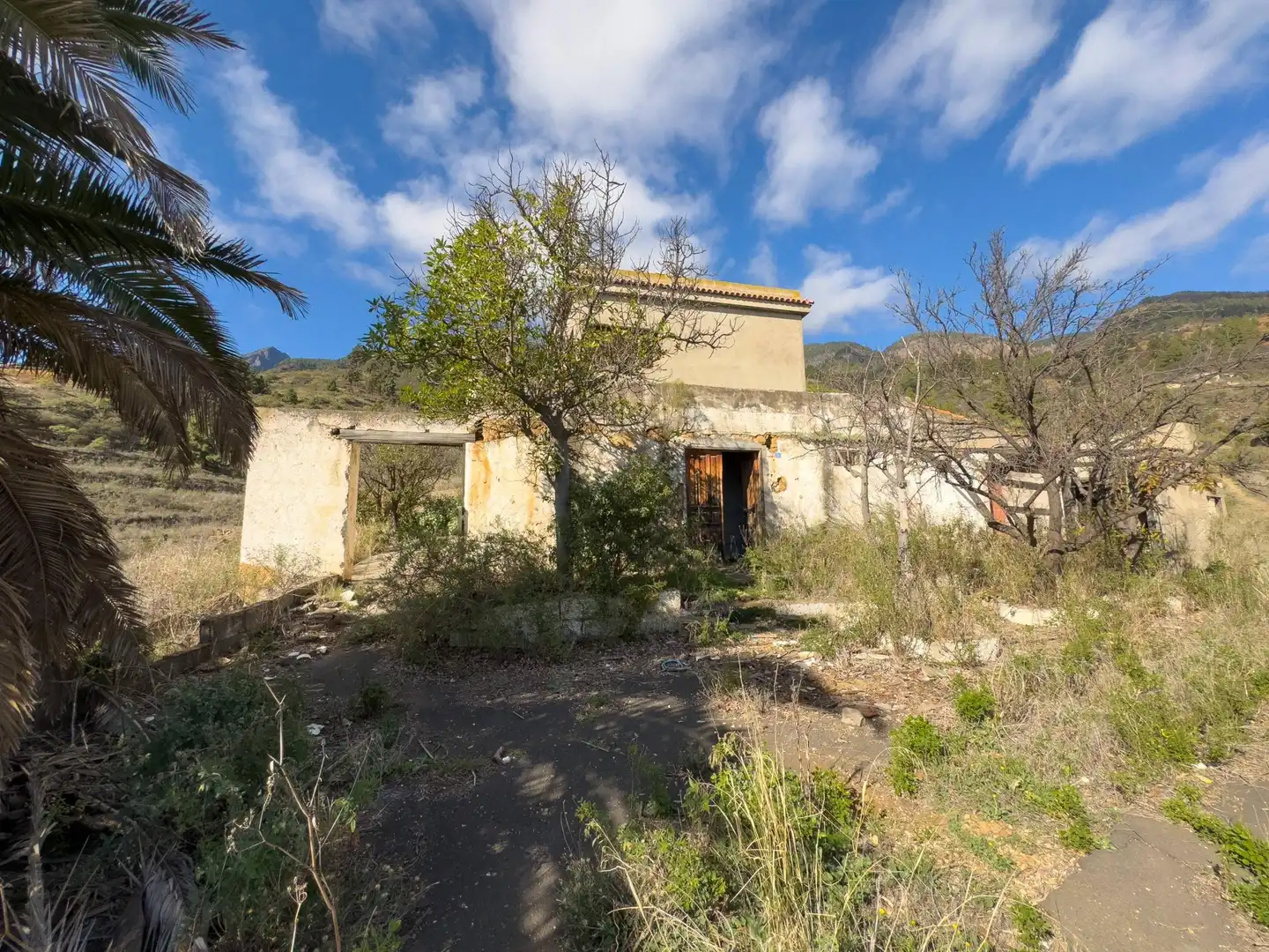 Country homes for sale in Arafo