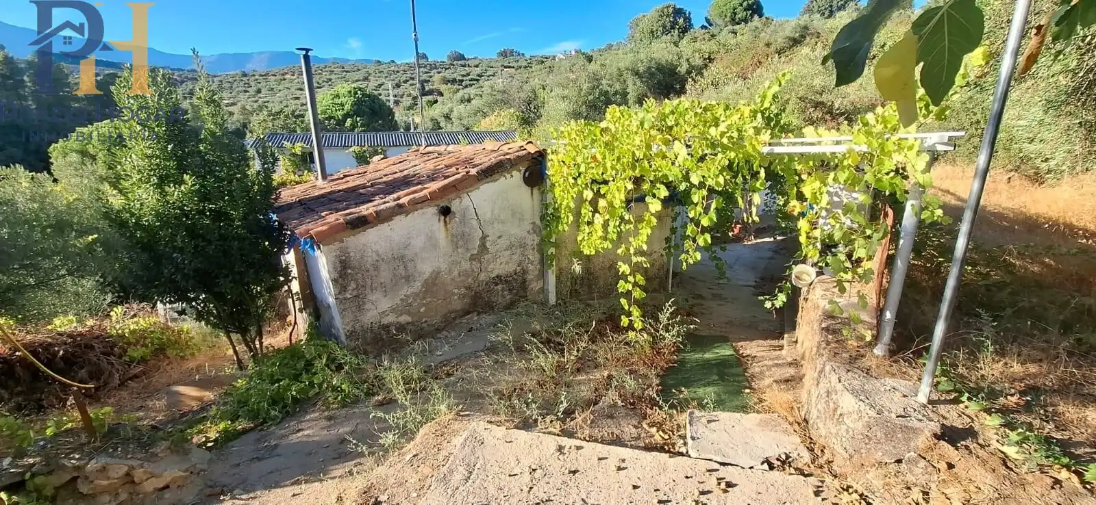 Maison à vendre à Arenas de San Pedro, imagen 15