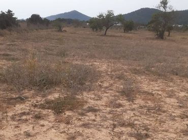 Terreno rustico in vendita a Calle d'es codolar 4