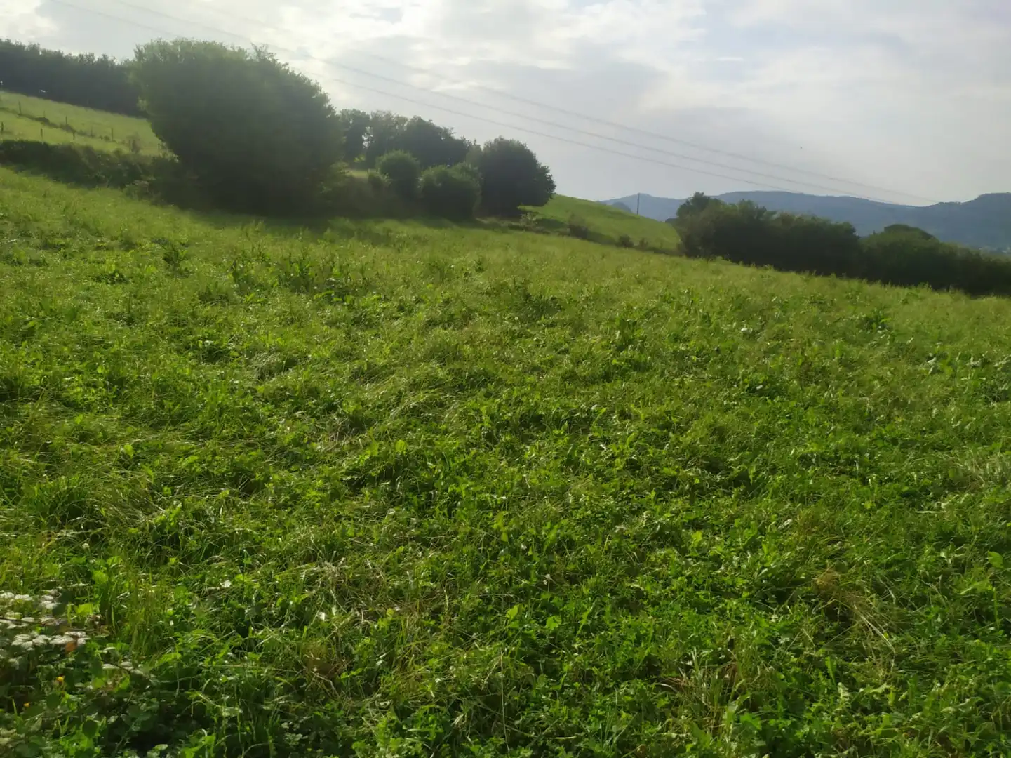 Terreni e lotti in vendita a Lloreda - LLOREDA, imagen 4
