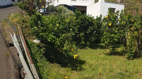 Photo 5 of Country house for sale in Calle Real, Barlovento, Santa Cruz de Tenerife