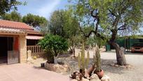 Casa o xalet en venda a Partida TORRELLANO, Torrellano, Elche / Elx, imagen 3