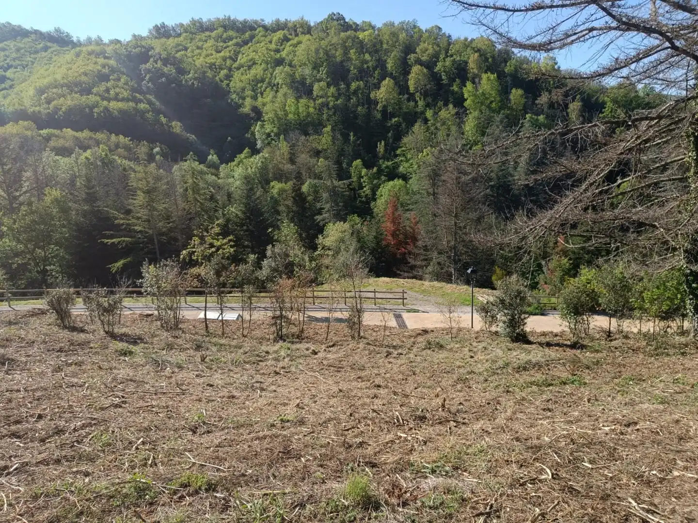 Wohnbaugrundstück zum Verkauf in Montseny 11, imagen 13