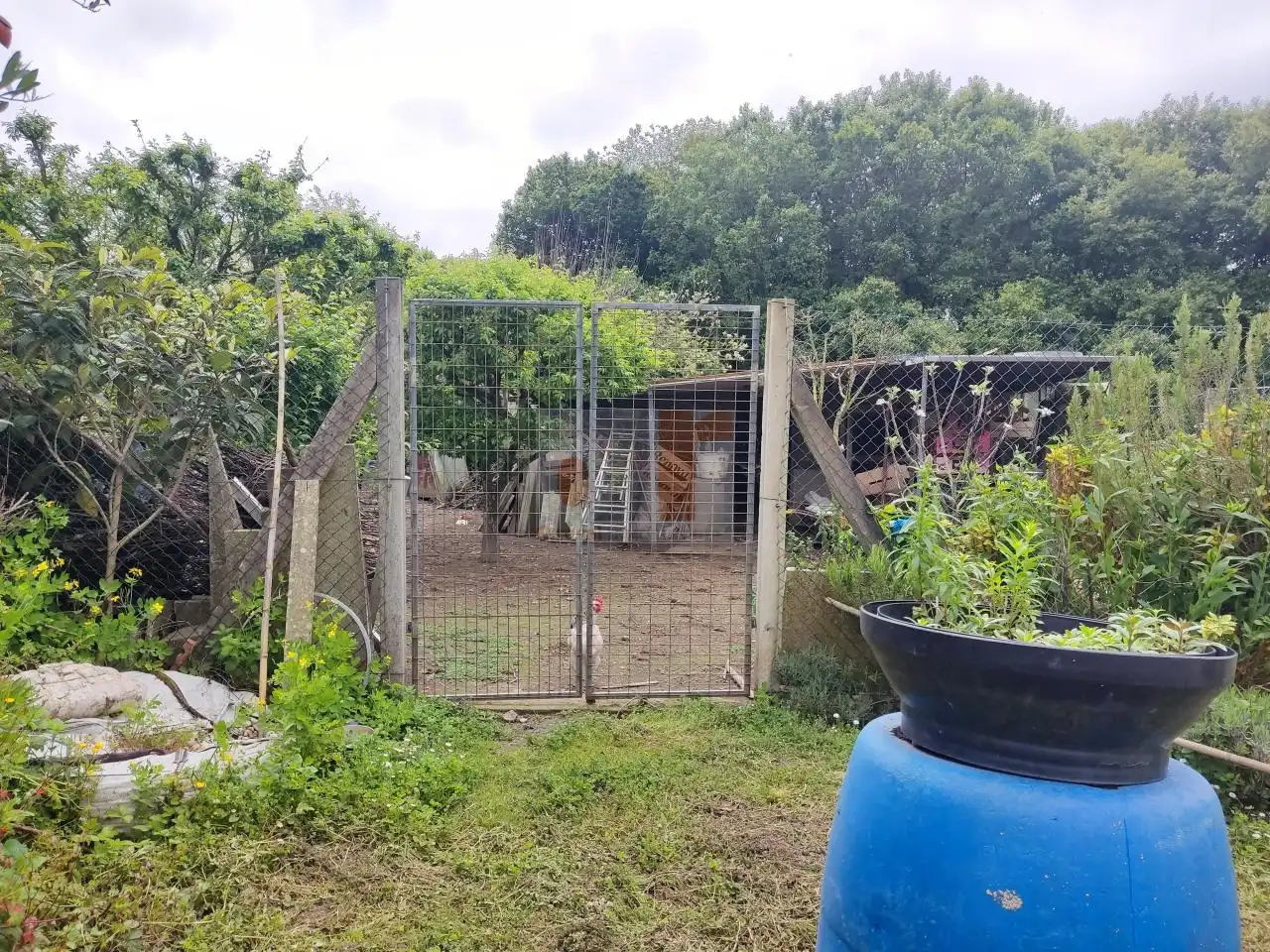 Xalet amb jardí en venda a Coiro, imagen 4