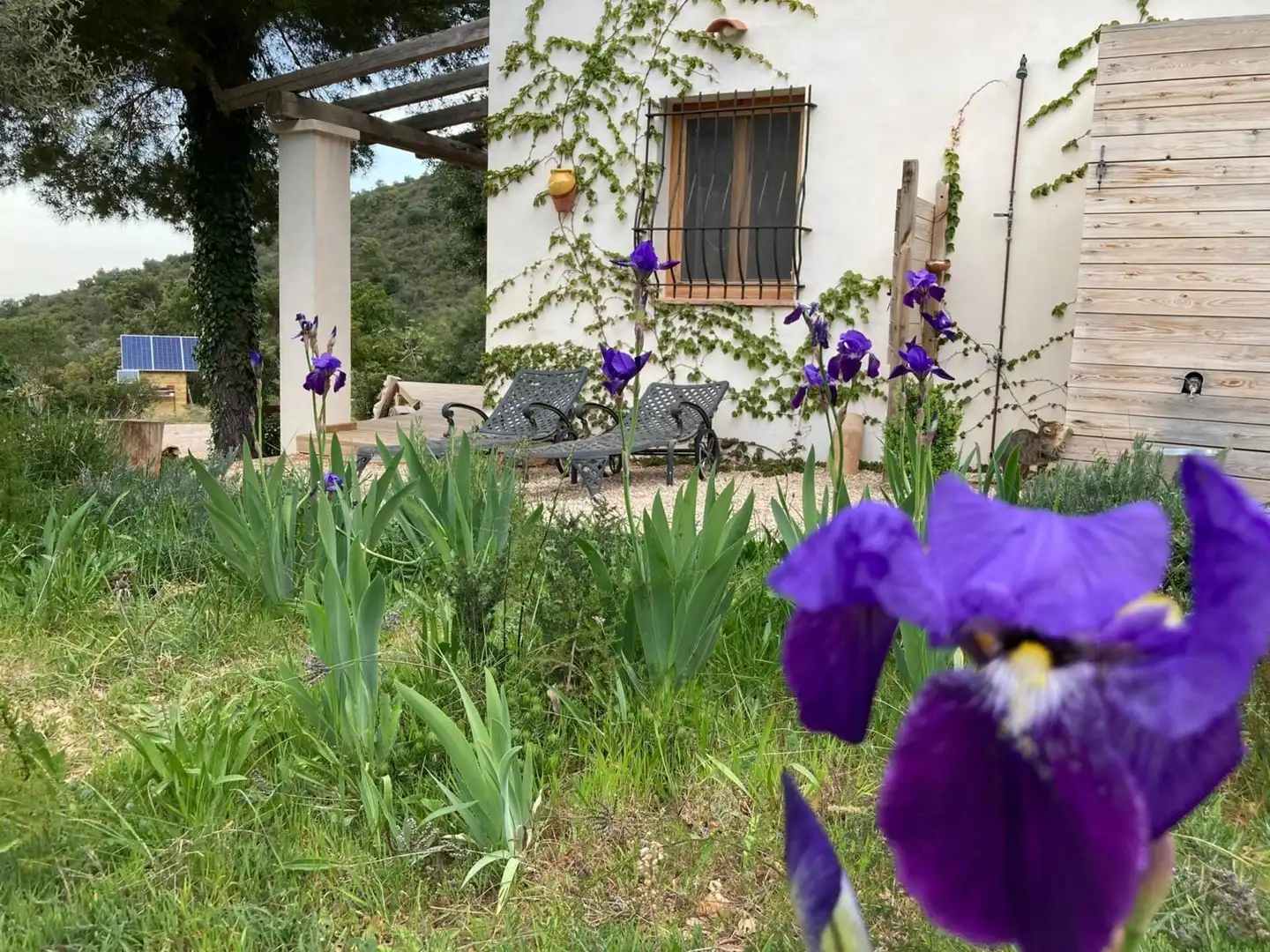 Jardín de Finca rústica en venta en Freginals con Terraza y Trastero