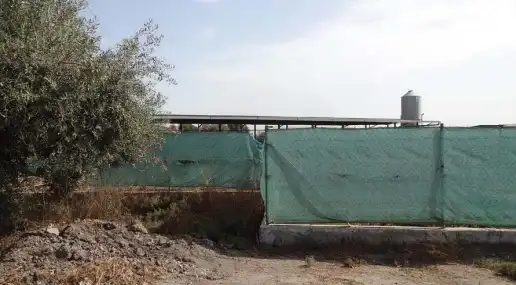 Terreny rústic en venda a Diputación del Esparragal, Pol 4, imagen 8