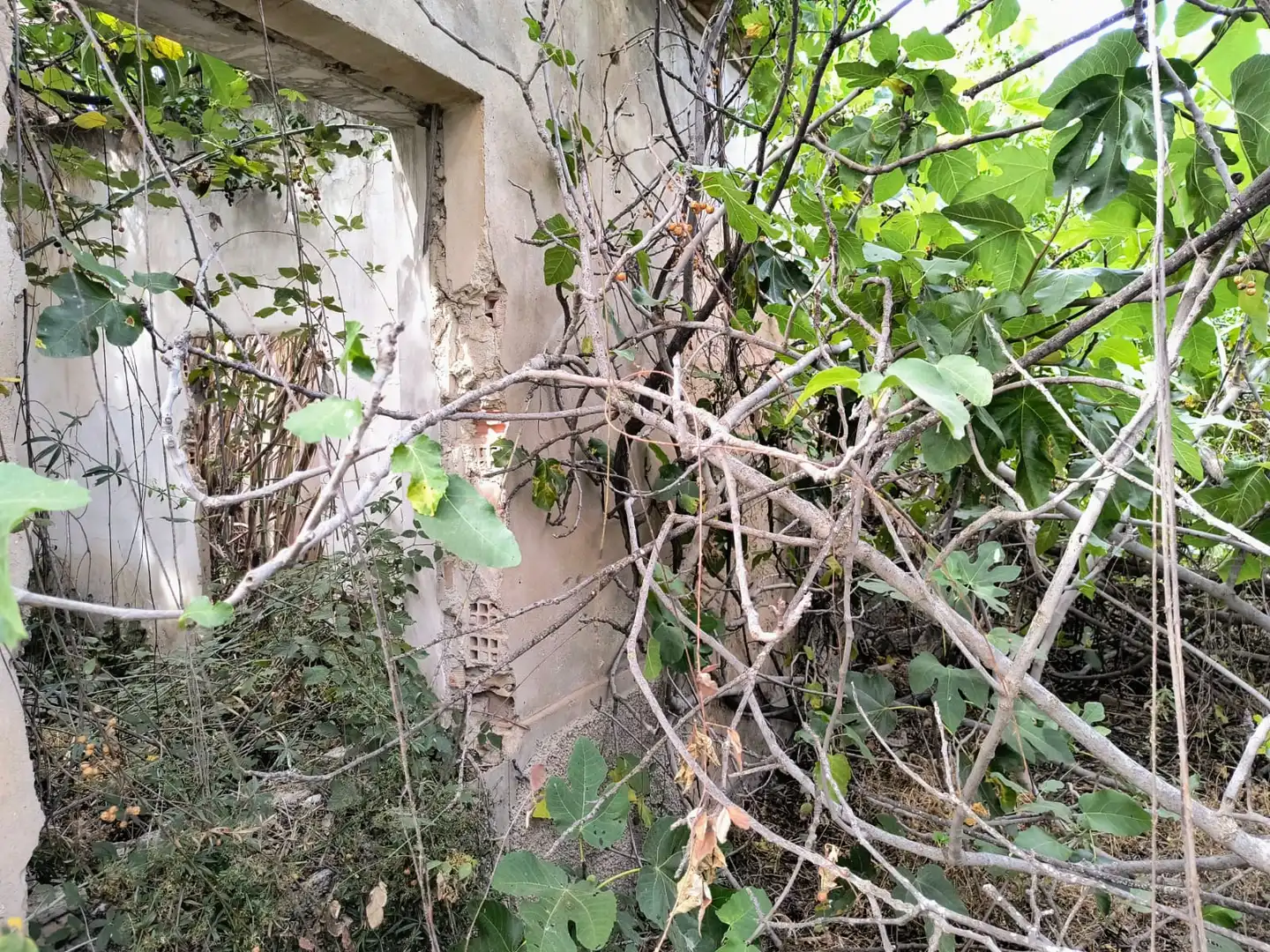 Terrenys i solars en venda a Pedanías Oeste, imagen 3