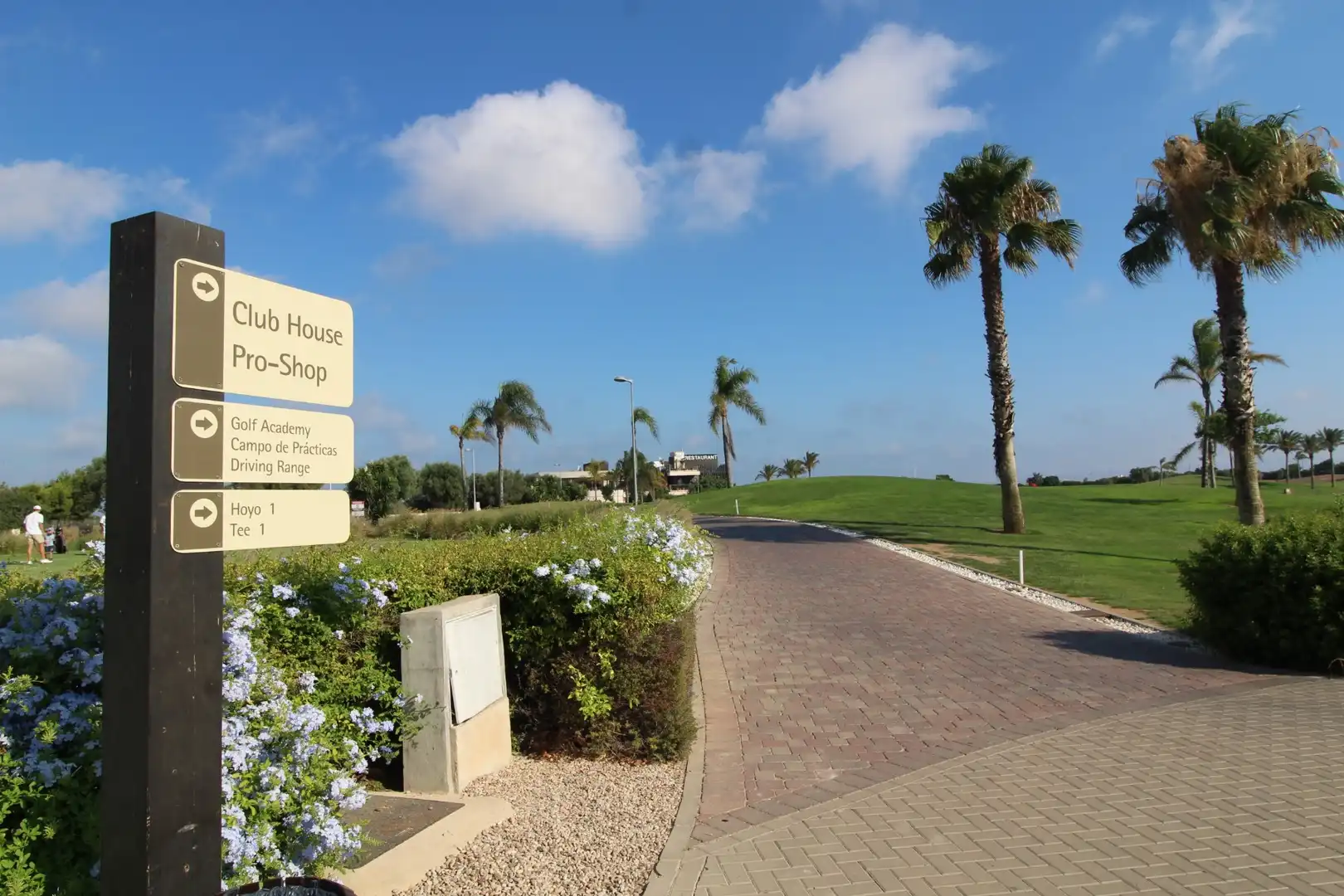 Apartment with pool for sale in Las Lomas de Rame - Bahía Bella, imagen 50