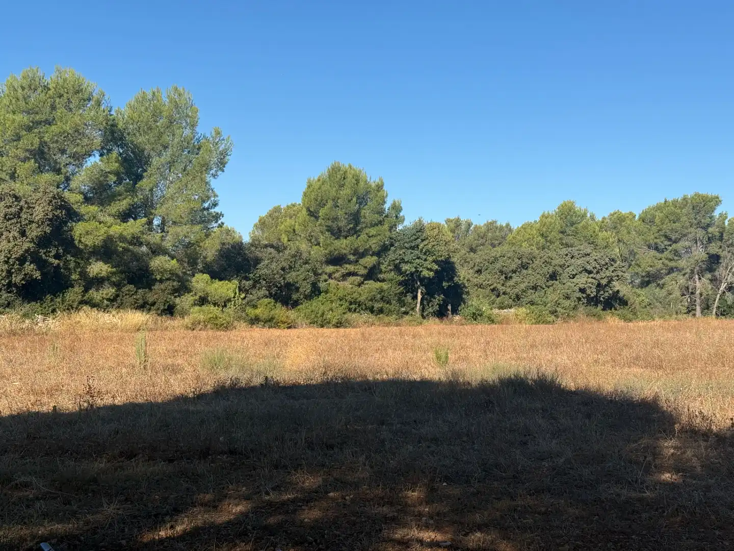 Land for sale in El Pla de Santa Maria