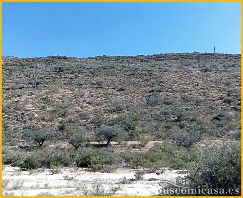 Grundstücke und Bauplätze zum Verkauf in Ugíjar, imagen 2