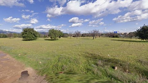 Foto 4 de Terreny industrial en venda a Camino Camí Moris, Sa Cabana - Can Carbonell - Ses Cases Noves, Marratxí